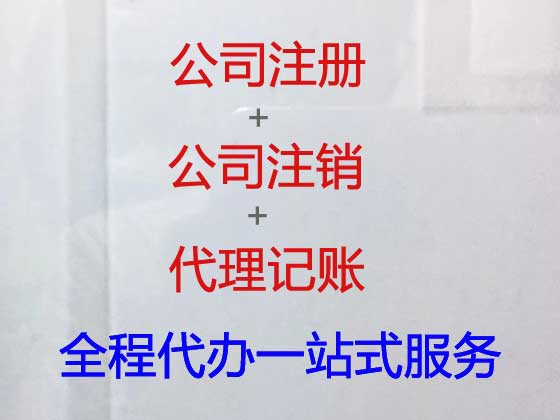 连云港代理记账报税服务|代办小规模纳锐人代账/记账,代理食品许可证